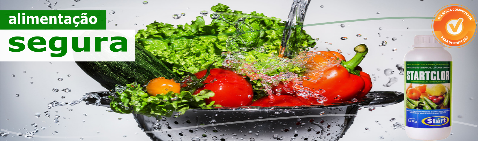 alimentação segura.png